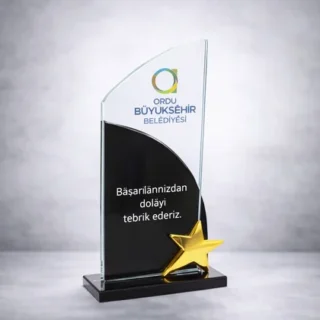 Yıldızlı Plaket 259