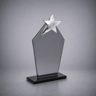 Yıldızlı Plaket 291